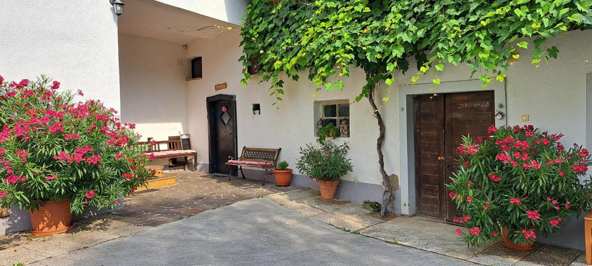Ana Antloga Apartments Bled Ngoại thất bức ảnh